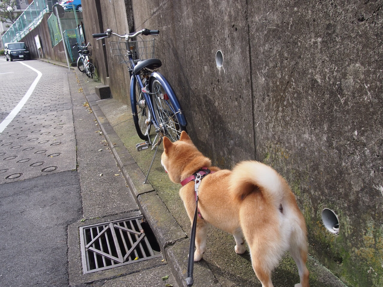 冰与火之夜，墨西哥绝杀宿命，莫德里奇熔铸传说